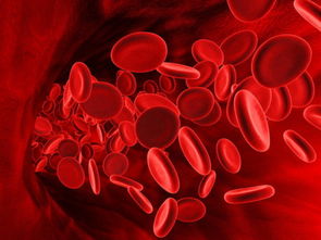 周公解梦梦到血是什么征兆：周公解梦，梦到血液的隐喻与现实启示