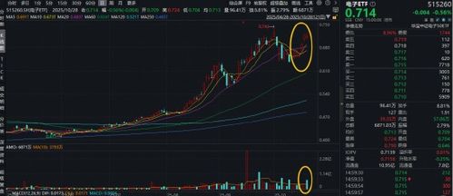 电子板块迎业绩喜报潮！胜宏科技归母净利同比大增324%！电子ETF（515260）连涨2日后首跌，逢跌布局时刻？