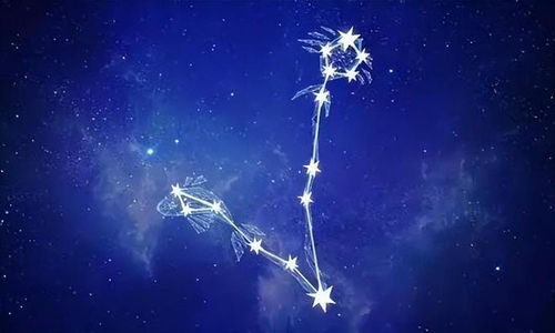 摩羯和天蝎谁才是老大：摩羯与天蝎谁才是老大？星座宿敌的终极对决