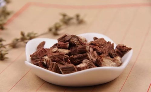 女人常吃丹参粉的好处:女人常吃丹参粉的好处,这些你都知道吗? 女人常吃丹参粉的好处:女人常吃丹参粉的好处,这些你都知道吗?