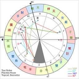 星盘算命免费：免费星盘算命，解锁你的宇宙密码，精准定位人生方向