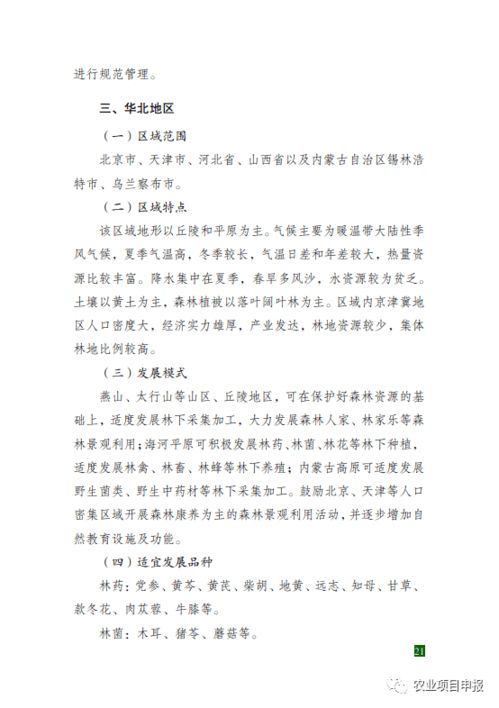 “发展林下经济,壮大林草产业”为何重要|解读“十五五” “发展林下经济,壮大林草产业”为何重要|解读“十五五”