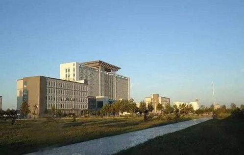 金牛男一旦爱上金牛女:双金牛,当固执遇上固执,如何让爱情在牛角尖里开出花来?