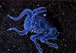 金牛座和什么星座不合:金牛座与哪些星座天生不合?五大星座关系预警 金牛座和什么星座不合:金牛座与哪些星座天生不合?五大星座关系预警