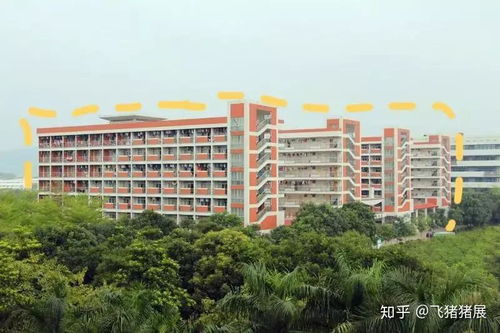 广东行政职业学院(广东行政职业学院官网) 广东行政职业学院(广东行政职业学院官网)