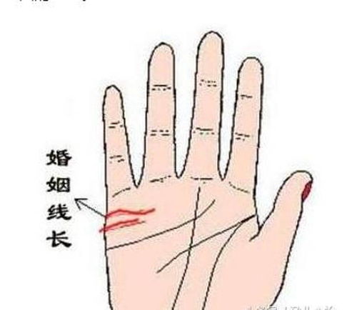 女人注定离婚的手相:手相学视角下的婚姻启示,女性离婚倾向的潜在信号与科学解读 女人注定离婚的手相:手相学视角下的婚姻启示,女性离婚倾向的潜在信号与科学解读