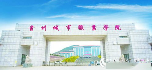 免费改名字免费取名:免费改名与取名全攻略,高效工具与实用技巧,轻松打造理想名字