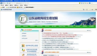 山东省教育招生考试院自考报名（山东省教育招生考试院自考报名专升本报名）