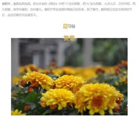 农历九月初九是什么日子:重阳登高赏菊时,揭秘农历九月初九的文化密码与时代新意