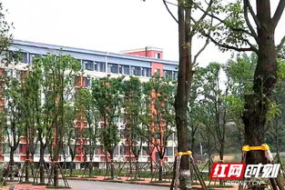 湖南医药学院(湖南医药学院老校区地址)