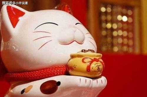 兔宝宝旺什么生肖父母：兔宝宝最旺的5大生肖父母，福泽深厚运势亨通，但这两个属相需谨慎结合！