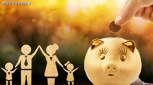 兔宝宝旺什么生肖父母：兔宝宝最旺的5大生肖父母，福泽深厚运势亨通，但这两个属相需谨慎结合！