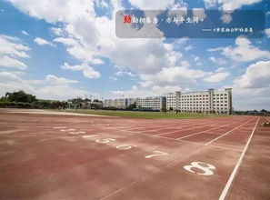 天津理工大学中环信息学院(天津理工大学中环信息学院地址)