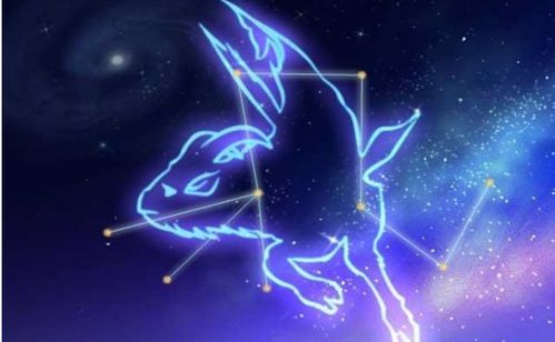 摩羯座是羊还是蝎子:摩羯座是羊还是蝎子?拨开星座与生肖的迷雾 摩羯座是羊还是蝎子:摩羯座是羊还是蝎子?拨开星座与生肖的迷雾