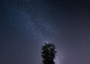 天蝎男性格脾气特点和缺点:深情与偏执并存,天蝎座男生的性格密码与相处之道 天蝎男性格脾气特点和缺点:深情与偏执并存,天蝎座男生的性格密码与相处之道