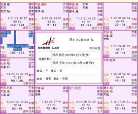 紫薇命盘排盘详解与分析：紫薇命盘排盘详解与分析，解码命理密码，解锁人生轨迹的权威指南