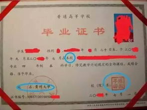 450分能上贵州大学吗（贵州450分理科能上一本吗）