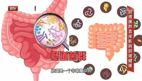 解不出大便吃什么药效果好:便秘困扰?选药指南在此