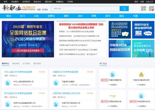 大学生就业网(大学生就业网站)