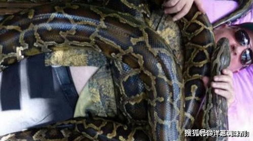 已婚女人梦见蟒蛇追我:已婚女性梦见蟒蛇追我,解析背后的恐惧与压力 已婚女人梦见蟒蛇追我:已婚女性梦见蟒蛇追我,解析背后的恐惧与压力