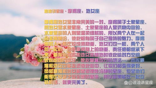 十二星座配对最佳组合:十二星座最佳配对指南,找到你的灵魂共鸣与默契磁场 十二星座配对最佳组合:十二星座最佳配对指南,找到你的灵魂共鸣与默契磁场