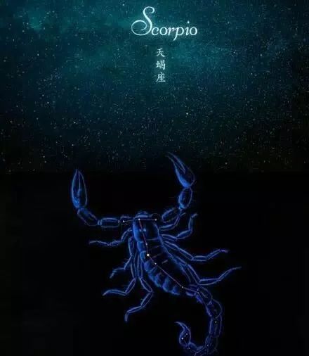 天蝎男爱一个人的表现:天蝎男的深情,隐忍与忠诚交织的爱的五种语言 天蝎男爱一个人的表现:天蝎男的深情,隐忍与忠诚交织的爱的五种语言