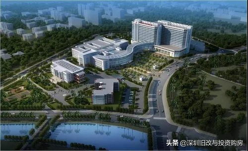 深圳大学研究生院(深圳大学研究生院电话)