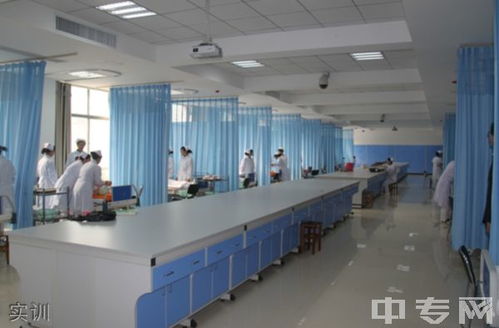 湖北医药学院药护学院(湖北医药学院药护学院专升本)