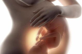 梦见自己怀孕生小孩什么预兆:梦见自己怀孕生小孩,是预兆还是心理映射? 梦见自己怀孕生小孩什么预兆:梦见自己怀孕生小孩,是预兆还是心理映射?