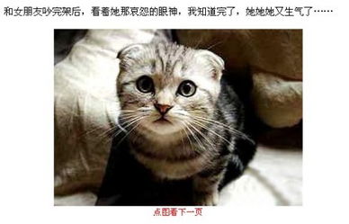 未婚女人梦见猫是什么预兆:未婚女子梦见猫,神秘预兆与深层解析