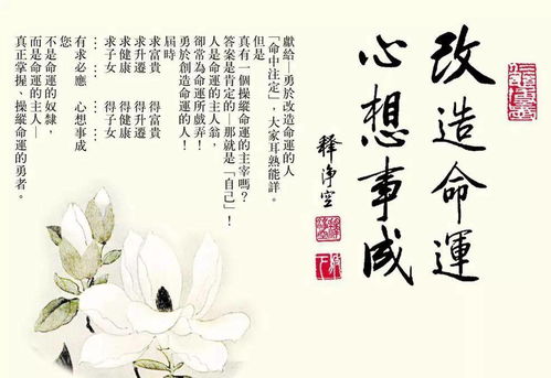 抄心经求姻缘太灵了:抄心经求姻缘太灵了!我的爱情因它而改变 抄心经求姻缘太灵了:抄心经求姻缘太灵了!我的爱情因它而改变