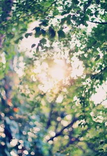 姻缘自然是什么意思:姻缘自然,一场命中注定的轻松相遇 姻缘自然是什么意思:姻缘自然,一场命中注定的轻松相遇