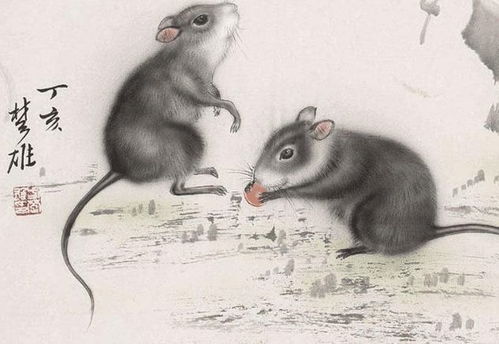 2023属鼠刑太岁禁忌:2023属鼠人刑太岁避灾指南,这些禁忌需谨记,助你平安顺遂