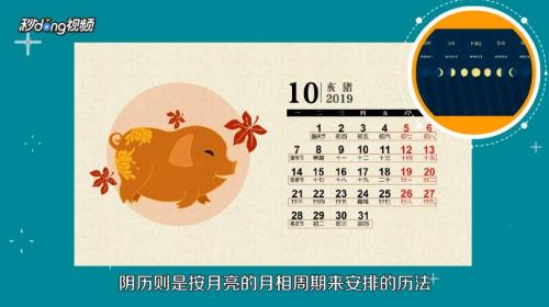 阴历阳历怎么区分:阴历与阳历,传统与科学的时空密码 阴历阳历怎么区分:阴历与阳历,传统与科学的时空密码