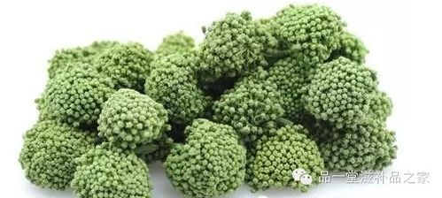 三七花功效:三七花,守护健康的天然密码 三七花功效:三七花,守护健康的天然密码