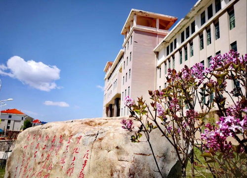 甘肃民族师范学院(甘肃民族师范学院官网)