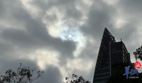 12月13日出生的人:12月13日出生的人,冬日暖阳下的神秘灵魂 12月13日出生的人:12月13日出生的人,冬日暖阳下的神秘灵魂