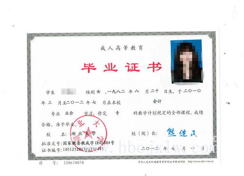 湖北经济学院专升本官网(湖北经济学院专升本官网登录)