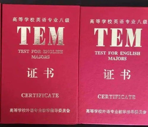 大学生就业信息招聘网(大学生就业信息招聘网官网英语专业有吗)