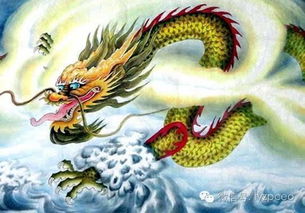 男属鸡女属蛇姻缘好吗:男属鸡女属蛇,揭秘姻缘背后的甜蜜与挑战