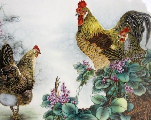 男属鸡女属蛇姻缘好吗:男属鸡女属蛇,揭秘姻缘背后的甜蜜与挑战 男属鸡女属蛇姻缘好吗:男属鸡女属蛇,揭秘姻缘背后的甜蜜与挑战