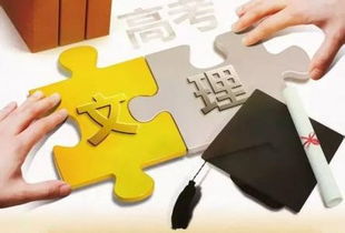 文科生可以报哪些专业(理科生可以报哪些专业)