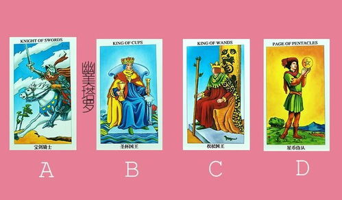 塔罗牌半价:神秘力量,半价开启!塔罗牌占卜,为你揭开命运的面纱