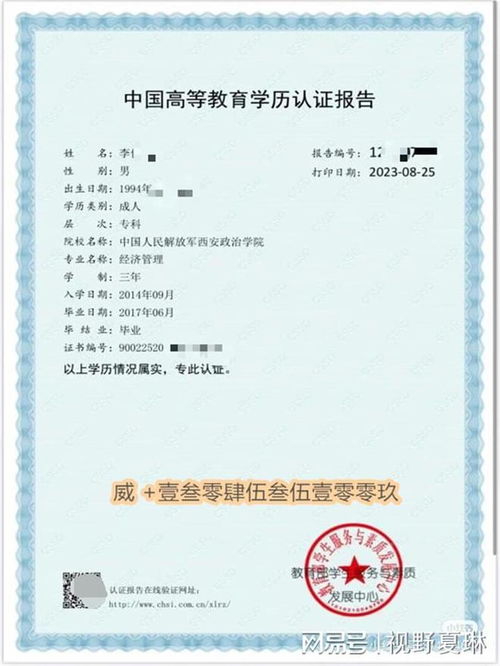 桑寄生图片:探秘桑寄生,图解植物界的奇妙共生现象