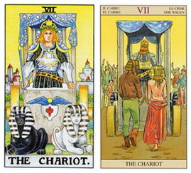 塔罗牌平民:塔罗牌平民,神秘学如何走进普通人的生活