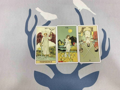 消磁塔罗牌:塔罗牌也会消磁?这些净化方法你一定要知道! 消磁塔罗牌:塔罗牌也会消磁?这些净化方法你一定要知道!