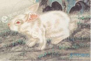 87年属什么:87年出生属马还是属蛇?1987年生肖全解析及运势指南