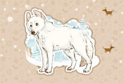 梦见狮子是什么意思周公解梦:梦见狮子,周公解梦与现代心理学的双重解读 梦见狮子是什么意思周公解梦:梦见狮子,周公解梦与现代心理学的双重解读