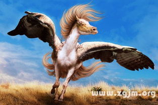 梦见狮子是什么意思周公解梦：梦见狮子，周公解梦与现代心理学的双重解读