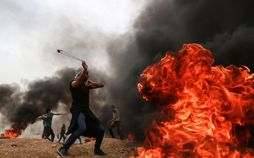 11月18日是世界什么日子：11月18日，世界科学与艺术日—探索人类文明的跨界之光